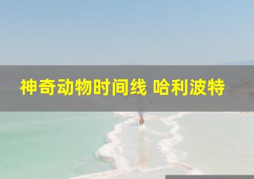 神奇动物时间线 哈利波特